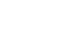 Logo Barutek White
